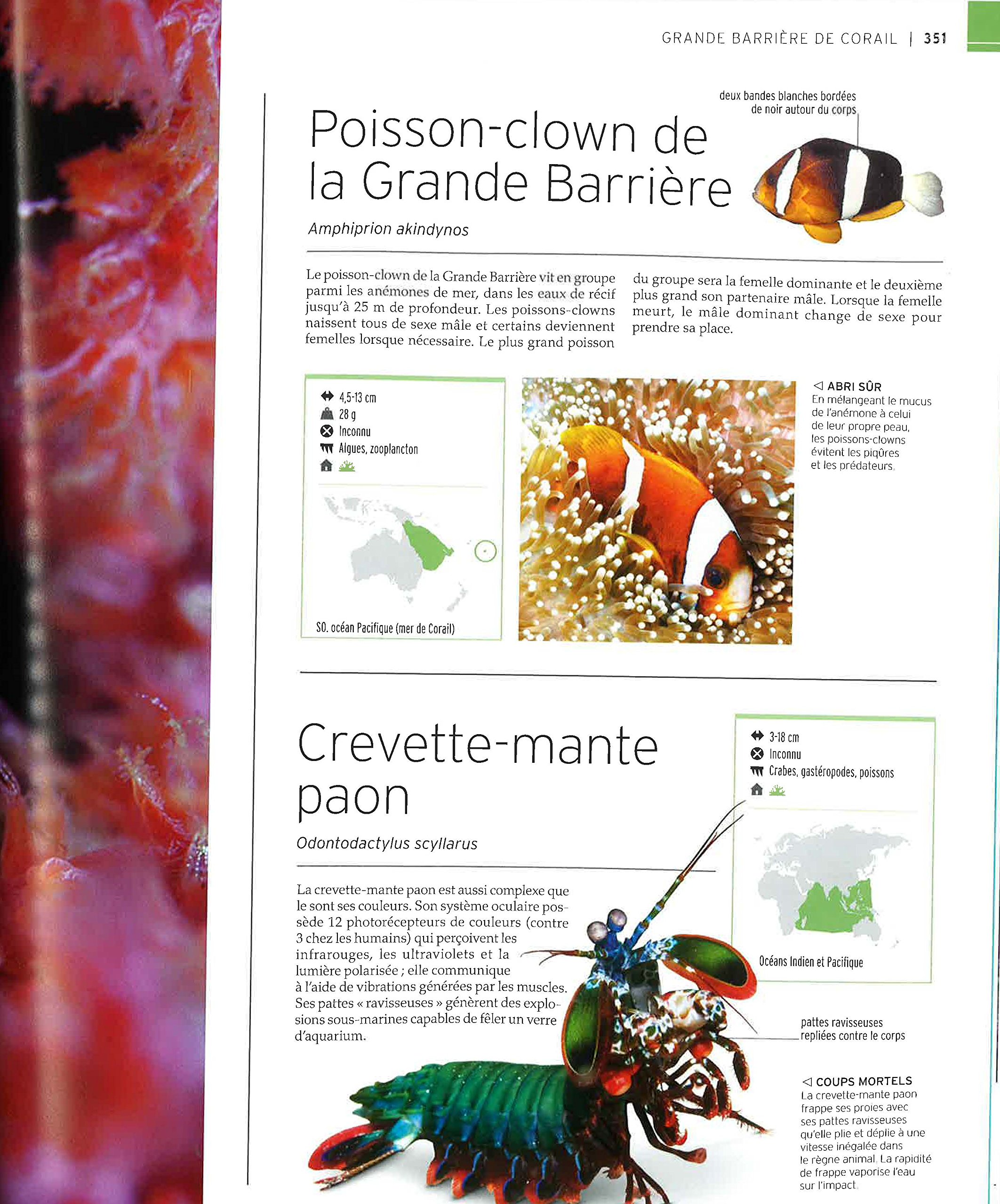 Vie sauvage: Encyclopédie visuelle des animaux, continent par continent