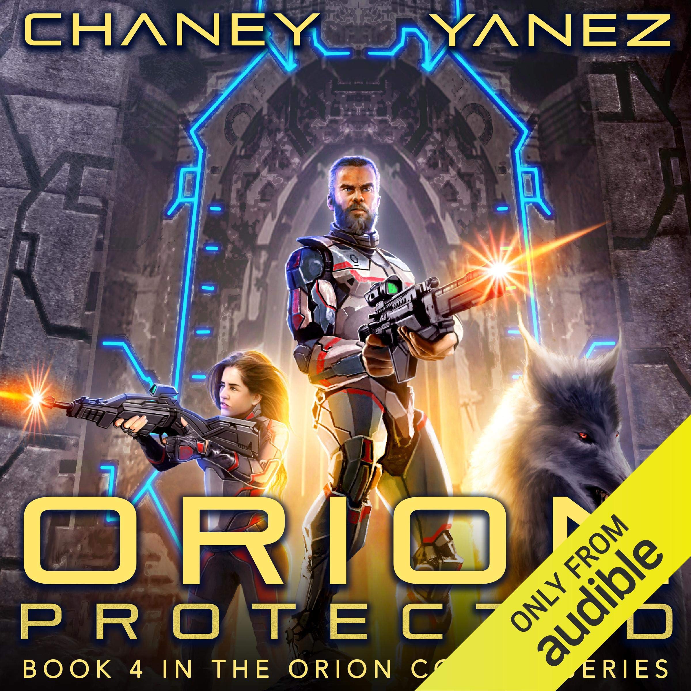 Cover art for Orion Protected