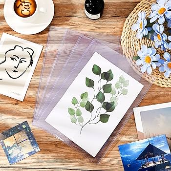 Amazon.com : 40 Pcs Clear Comic Magazine Sleeves Holder for