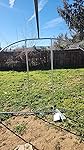 Review Image by The Rusty Hatchet Farms