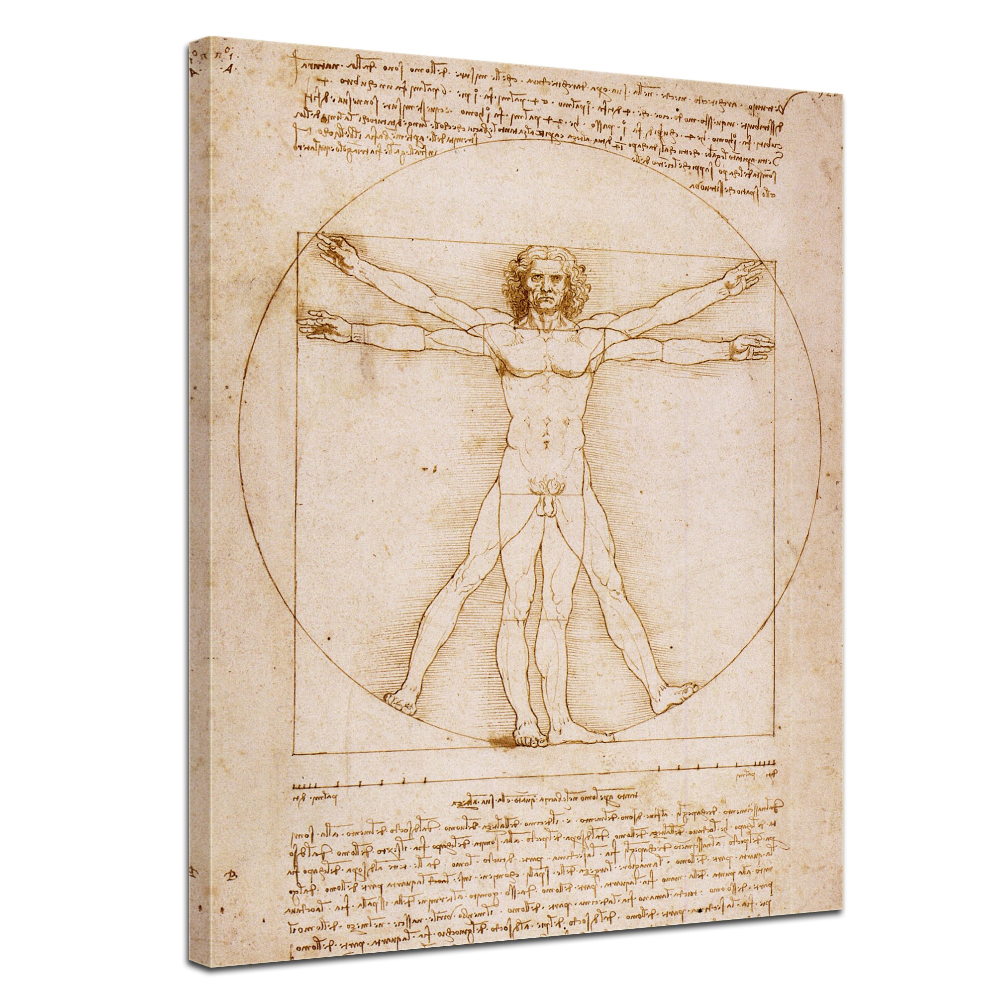 Art Print - vieux maîtres - Leonardo da Vinci - Homme de Vitruve - 60x80 cm
