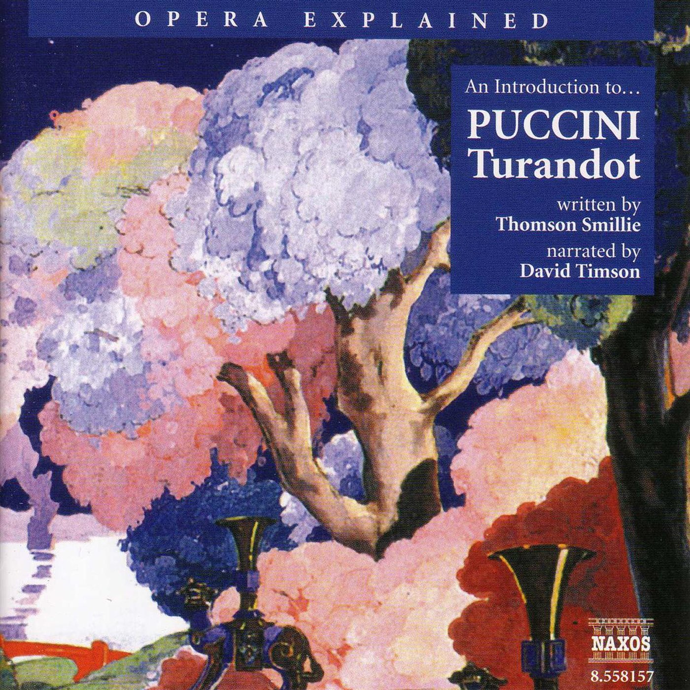 Cover art for Puccini: Turandot