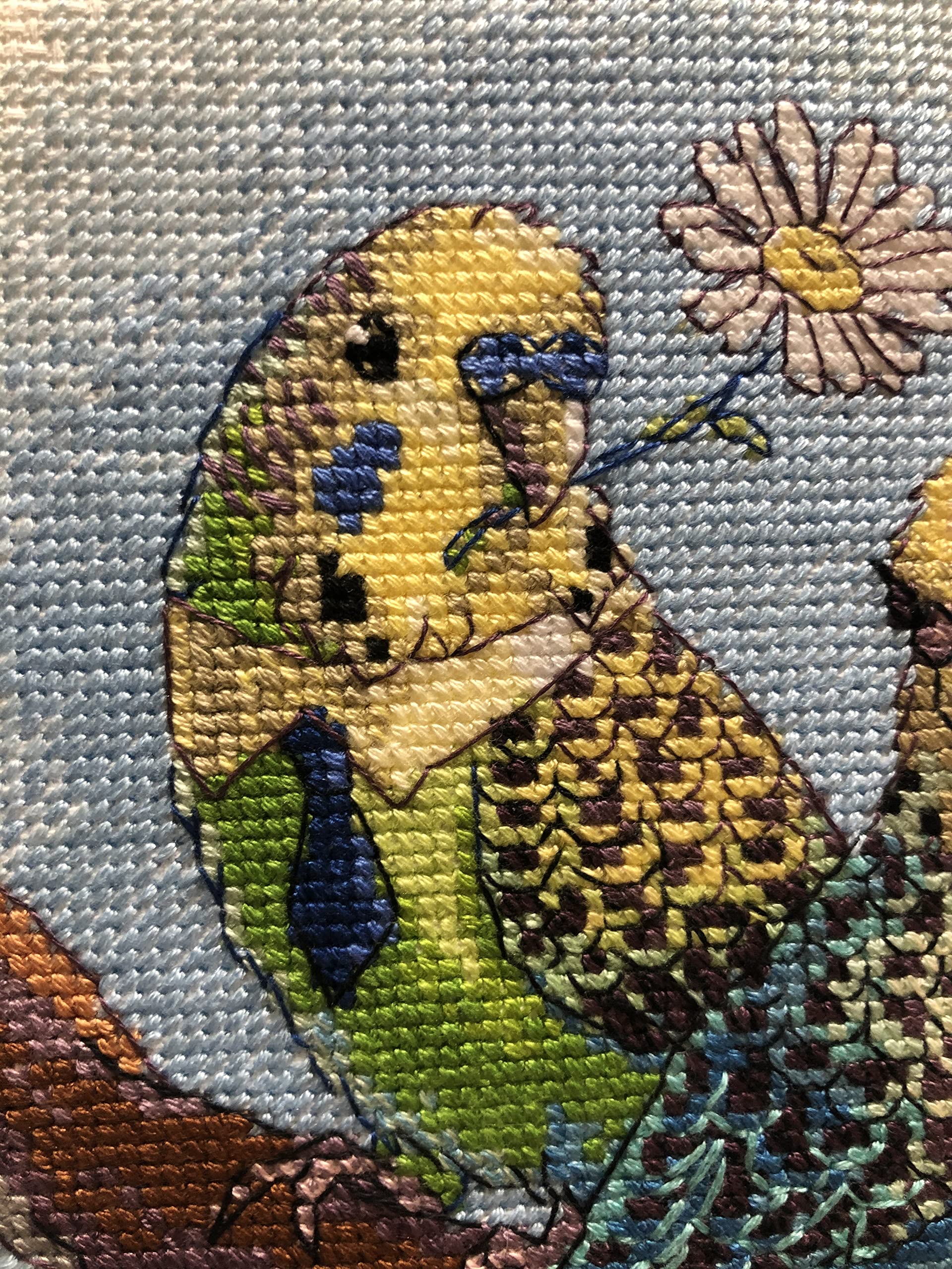 Pantalon De Combinaison En Néoprène Pour Homme - Hiver, Surf, Plongée, Taille M, Noir