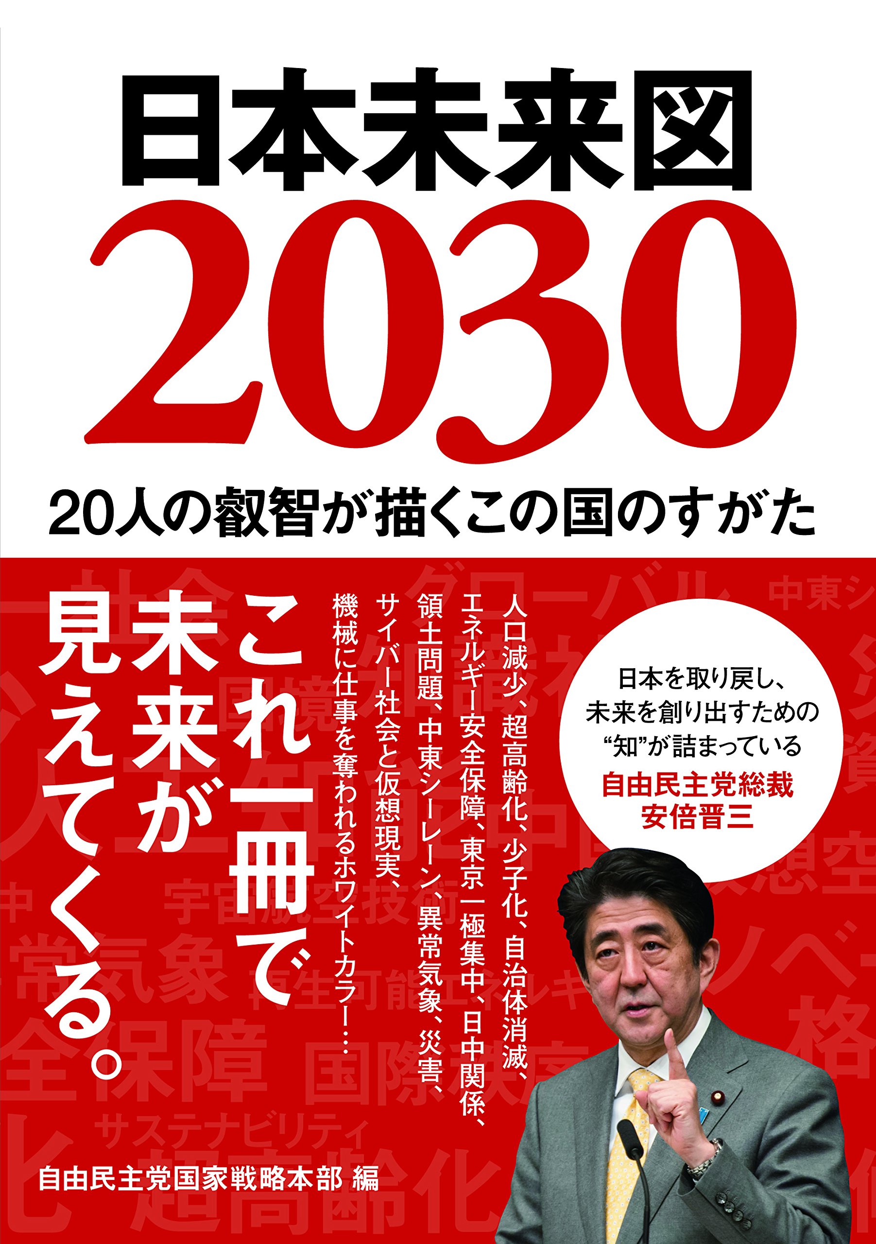 ２１世紀に向けた国土づくりと情報通信戦略　大成出版社　希少 21世紀に向けた国土づくりと情報通信戦略 大成出版社 希少
