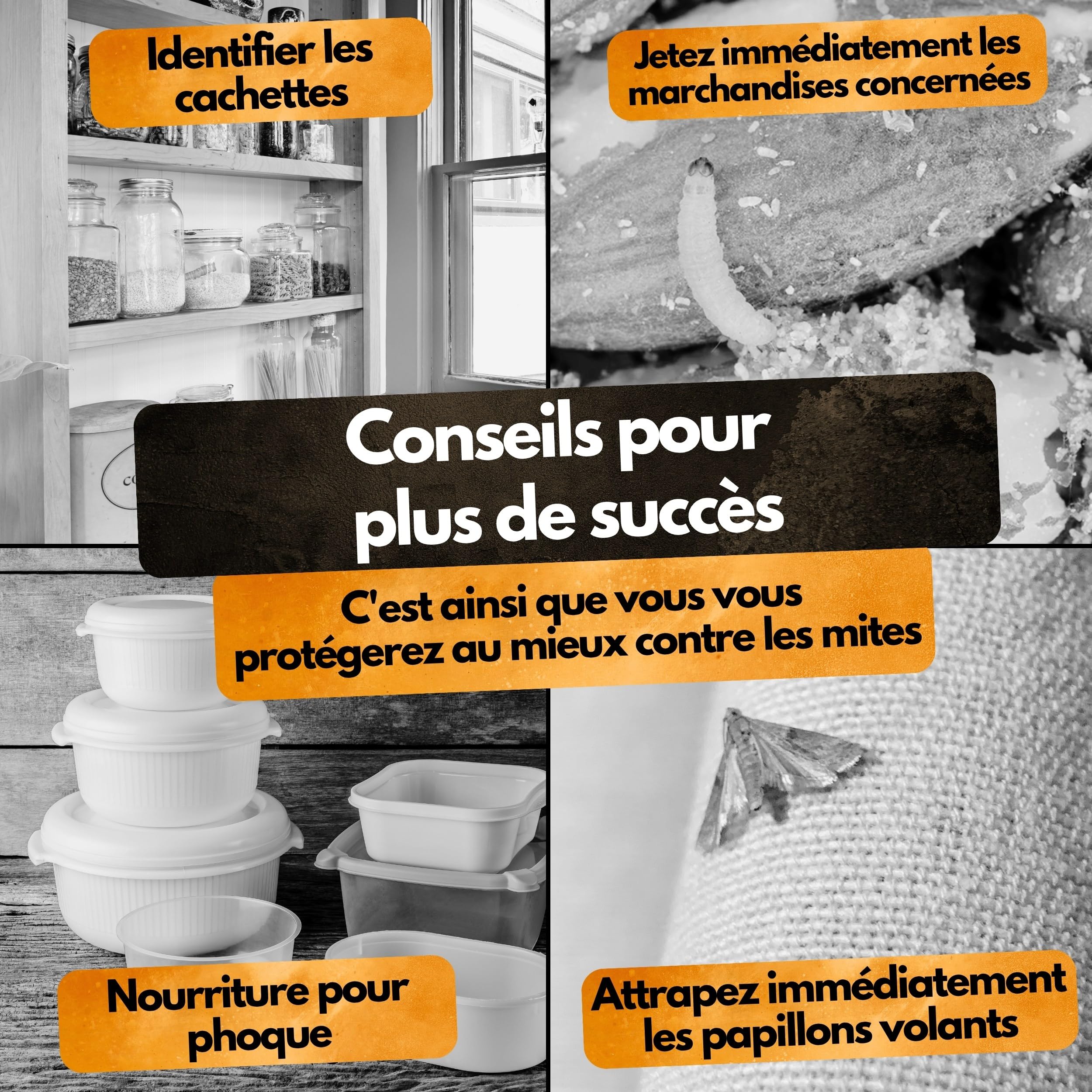 Panteer Lot de 6 pièges à Mites Contre 2 Types de Mites pour Garde-Robe et Alimentaires