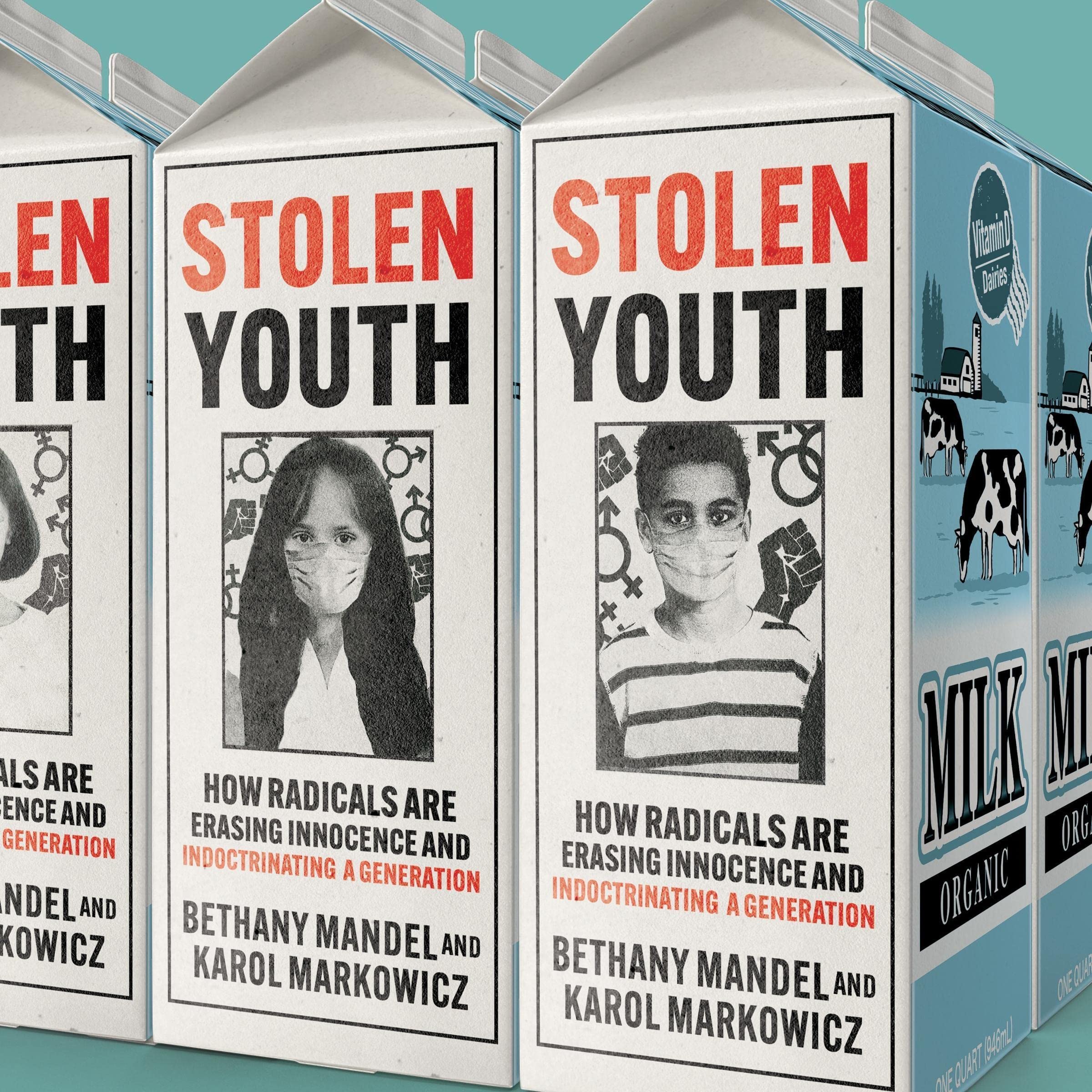 Cover art for Stolen Youth