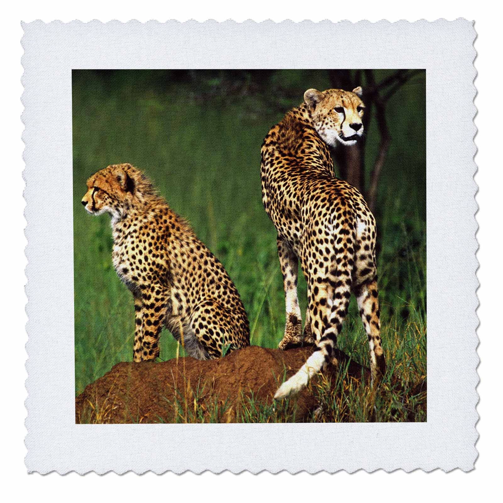 Gartenflagge Gepard Mit Jungtier – 30,5x45,7 Cm, Polyester, Einseitig Bedruckt
