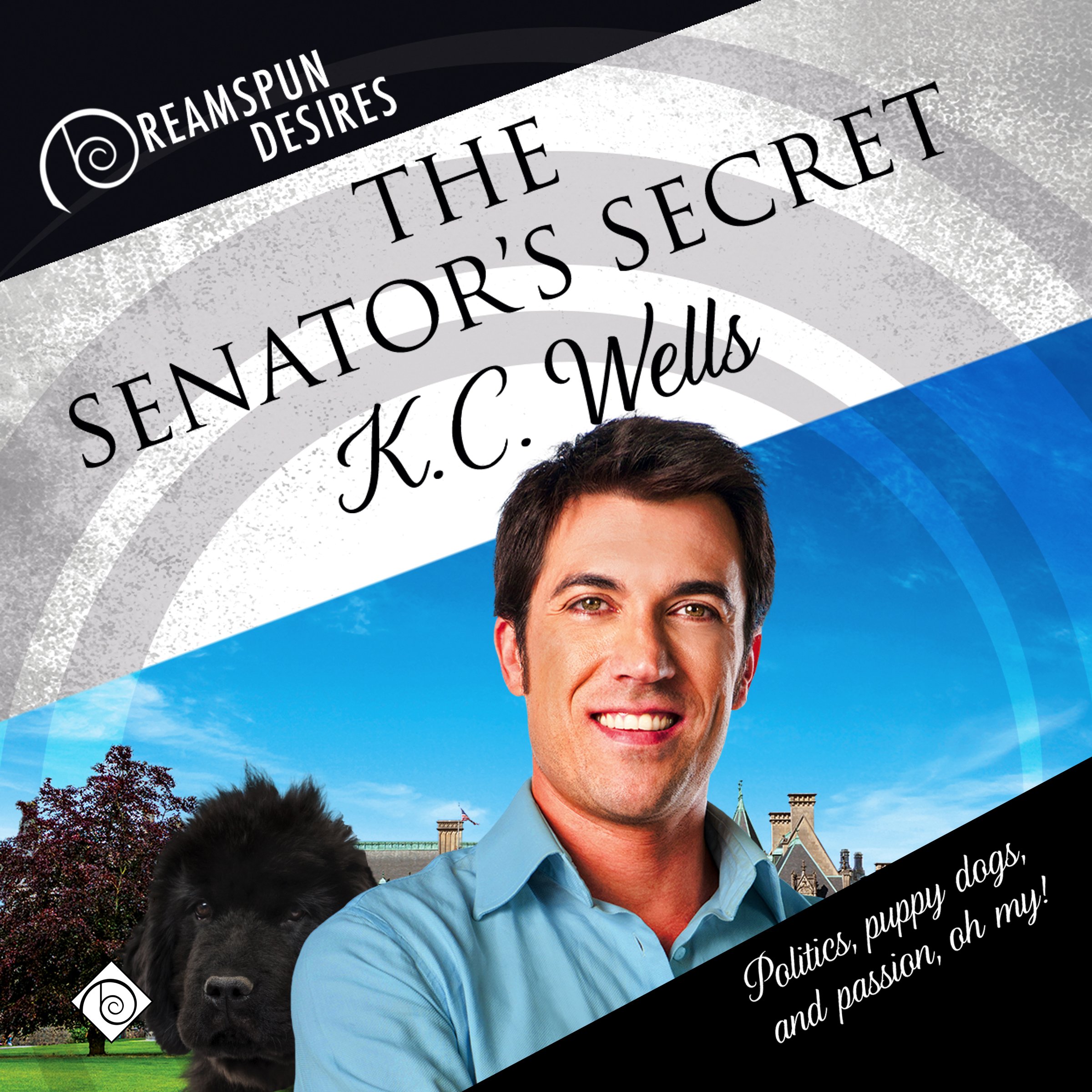 Cover art for The Senator's Secret