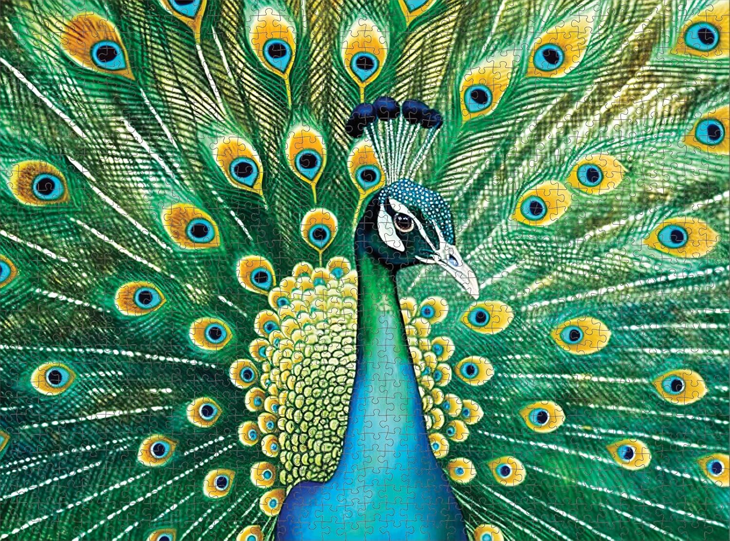 Cross & Glory - Emerald Peacock - 1000 Piece Jigsaw Puzzle for Adults | Colorful Animal Artwork | 20 x 27 Inches | Satin Finish