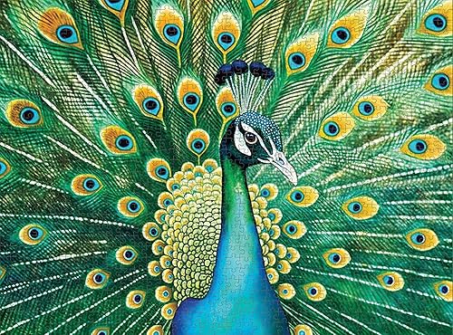 Miniatura 4 de Cross & Glory - Emerald Peacock - Rompecabezas de 1000 piezas para adultos con impresionantes ilustraciones de pavo real  Rompecabezas desafiante
