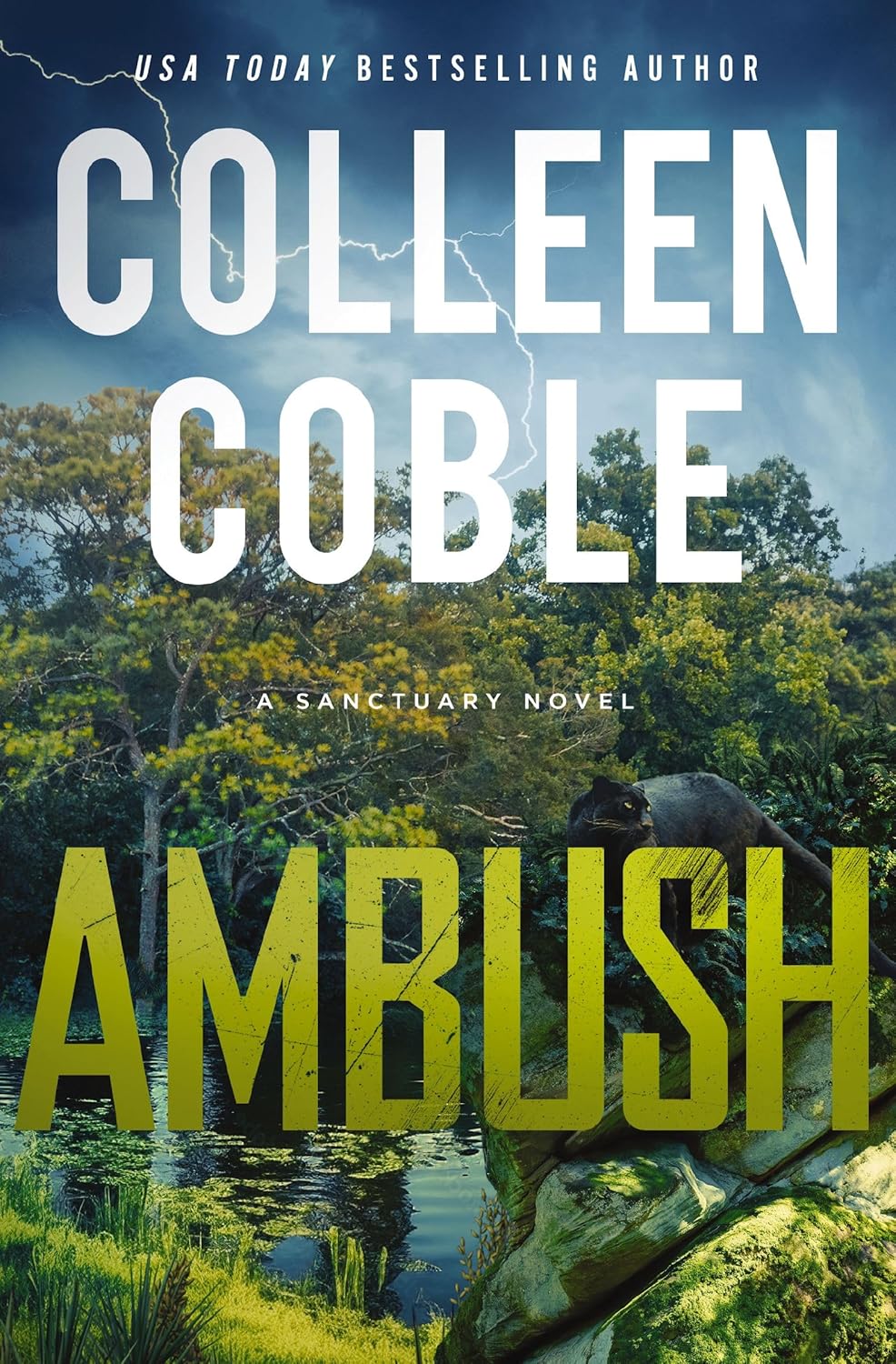 Ambush: A Small-Town Romantic Suspense (Sanctuary Book 1)