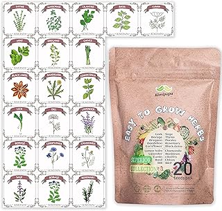 Kimipapa 20 Culinary Herb Seeds Pack - Heirloom and Non-GMO - Over 5000 Seeds for Planting Indoor and Outdoor Herbs Garden...