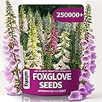 Foxglove Seeds 250,000+ Bulk Pack - Tall Spire Blooms, Mixed Colors for Garden Borders, Easy Planting for Home Gardening - Ideal for Backyard Flower Beds, Landscaping, and Pollinator-Friendly Gardens