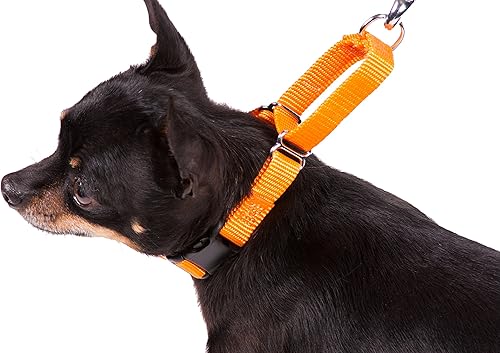 Vista 112 de GoGo Pet Products GoGo - Collar de perro Martingala de 3/8 pulgadas, talla XS, color naranja