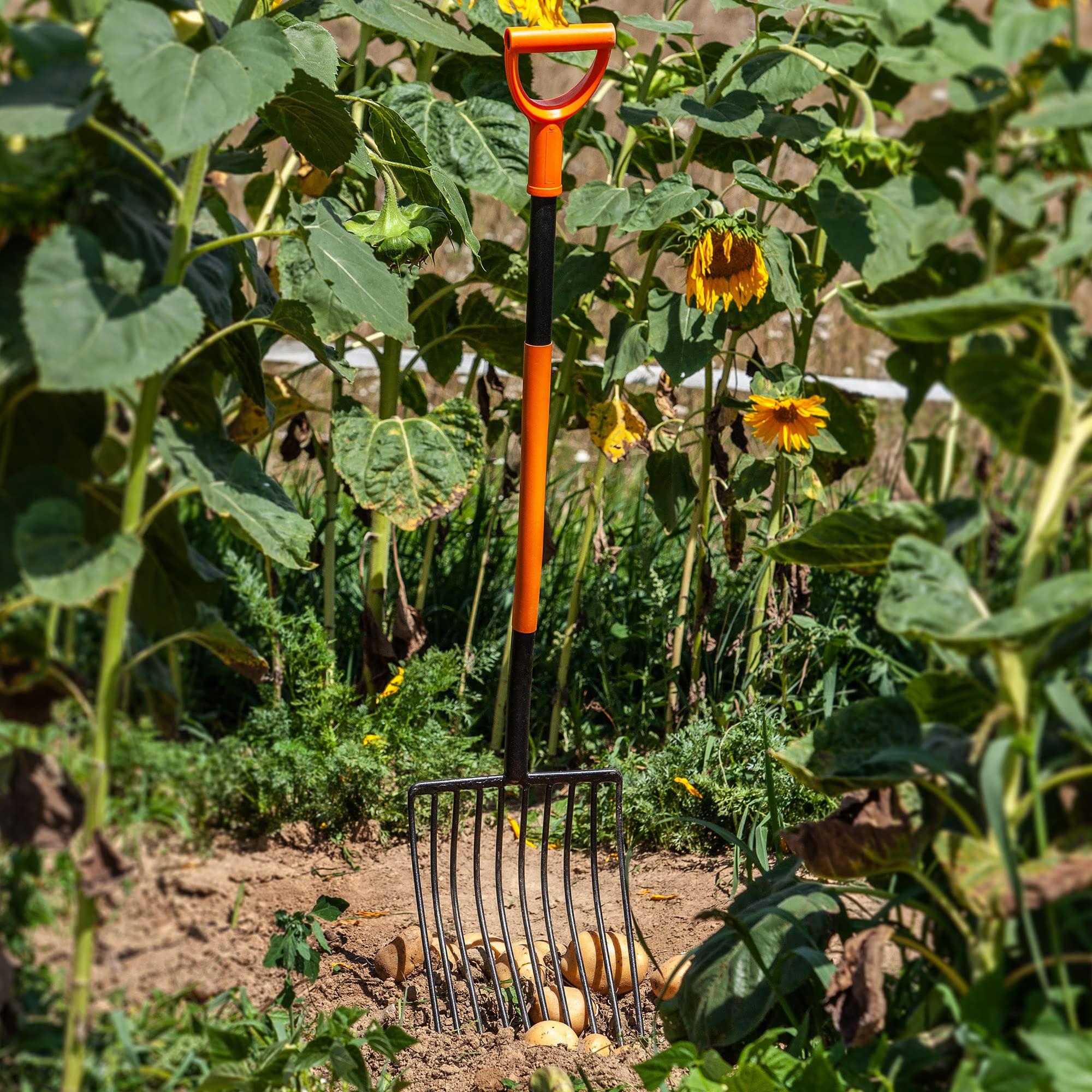 KADAX Forcone per Patate Manico Lungo, forcone per Pietre in Robusto Acciaio, forcone con Impugnatura a D, forcone per Vanghe, forcone per Letame, forcone per Rape, forcone da Giardino