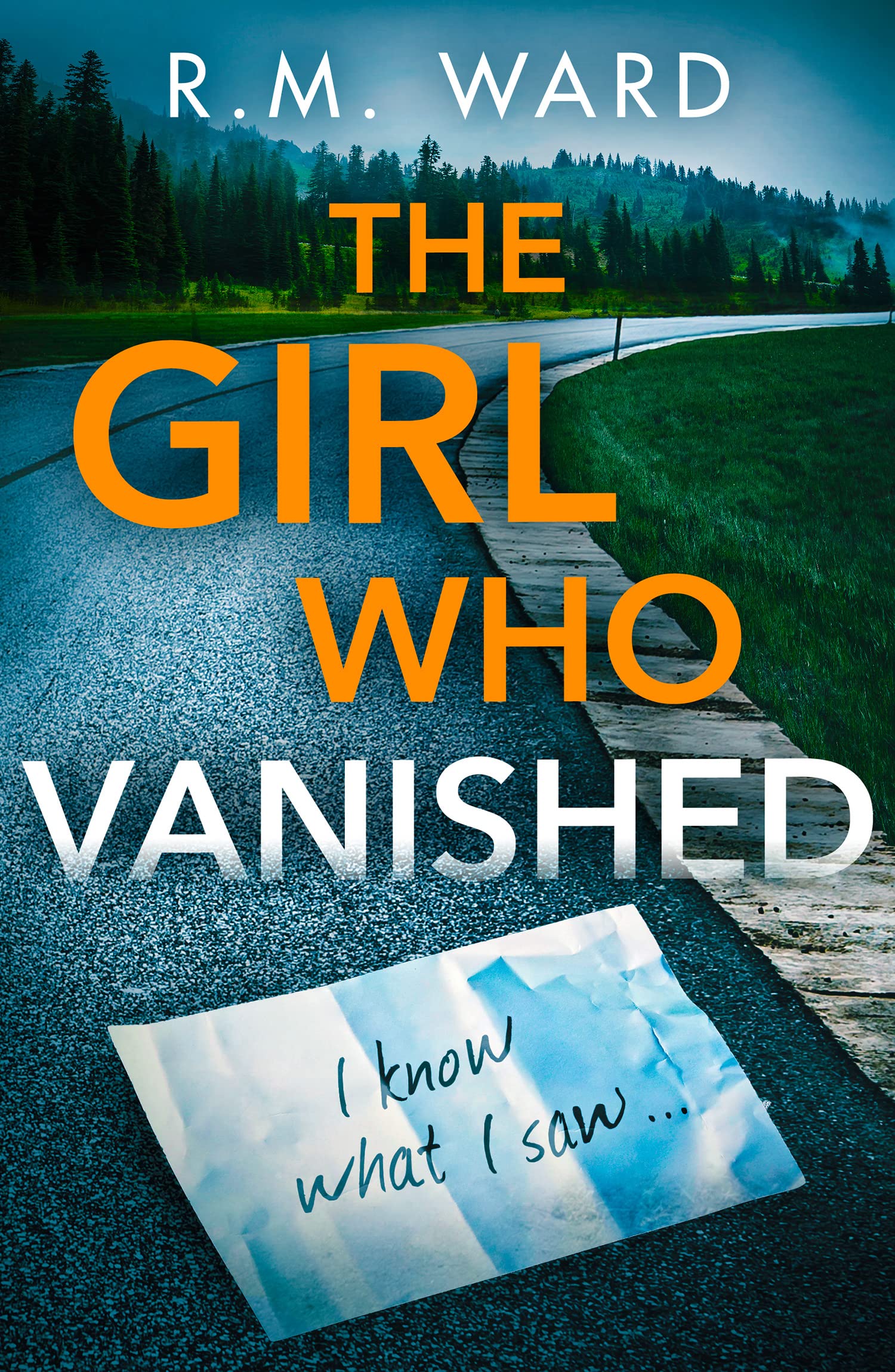 The Girl Who Vanished: Unputdownable psychological suspense