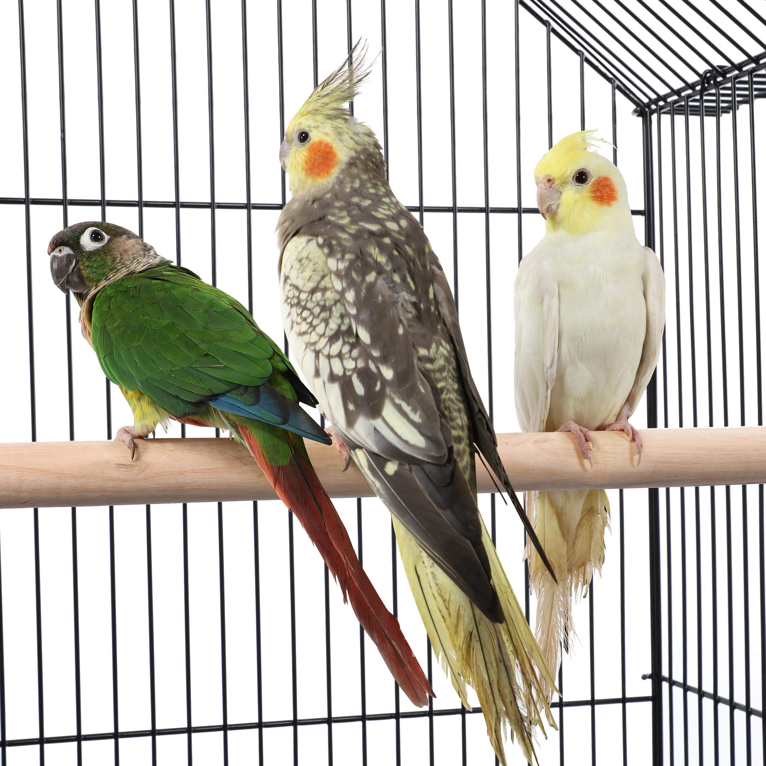 Yaheetech Volière Oiseau Cage à Oiseaux pour Canaries Grosses Perruches Canaris Calopsitte Inséparable avec Support détachable 59,5 x 59,5 x 145 cm