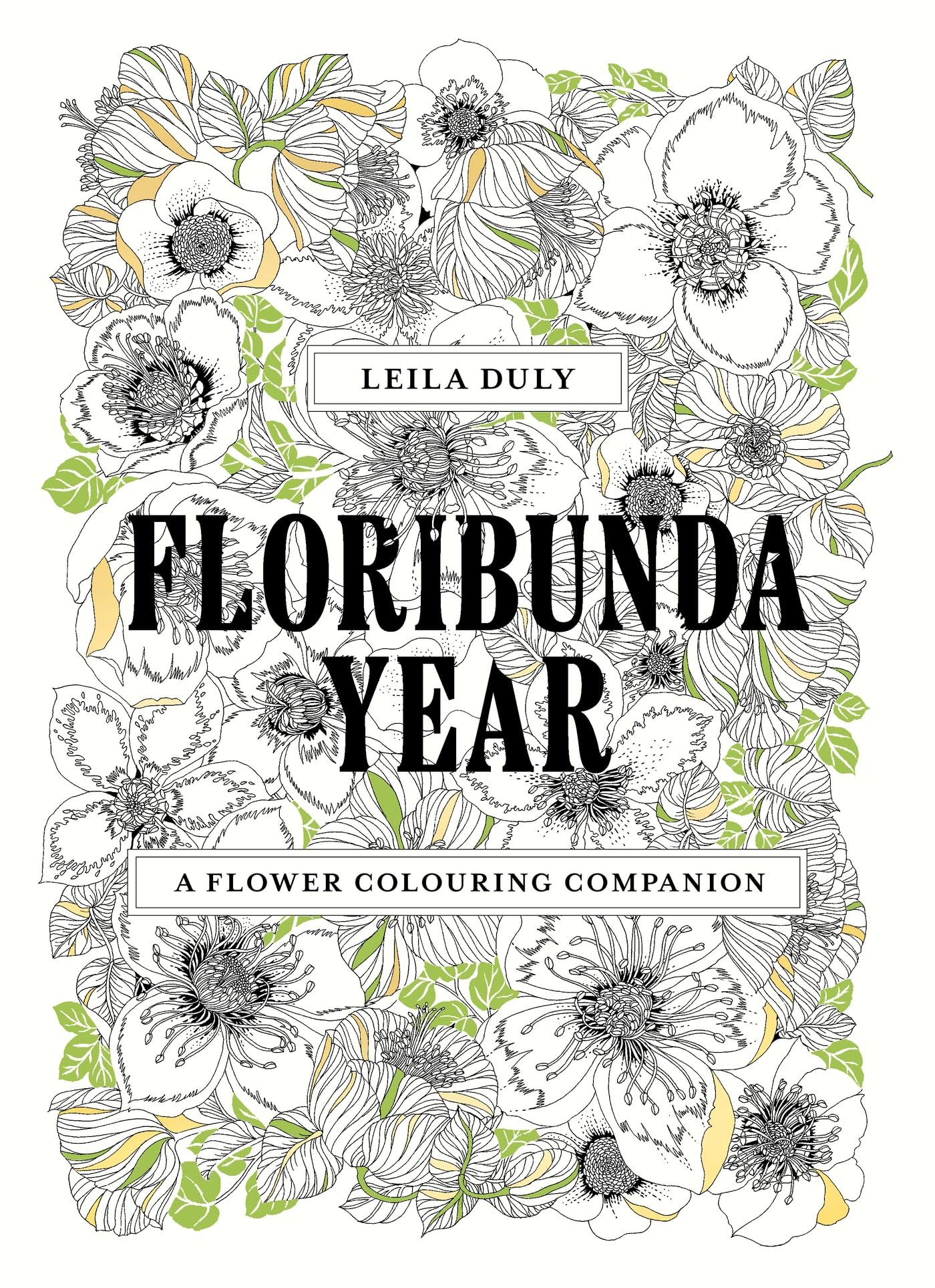 Floribunda Year by Leila Duly PAPERBACK 9781399620802