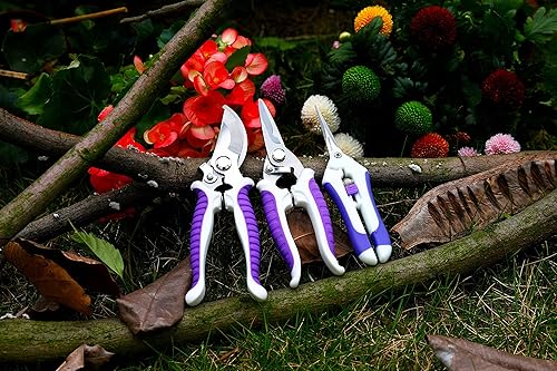 Miniatura 9 de Tijeras de podar, tijeras de jardín, podadora manual de acero inoxidable, tijeras de jardinería, cortador de árboles, tijeras de jardín, tijeras de