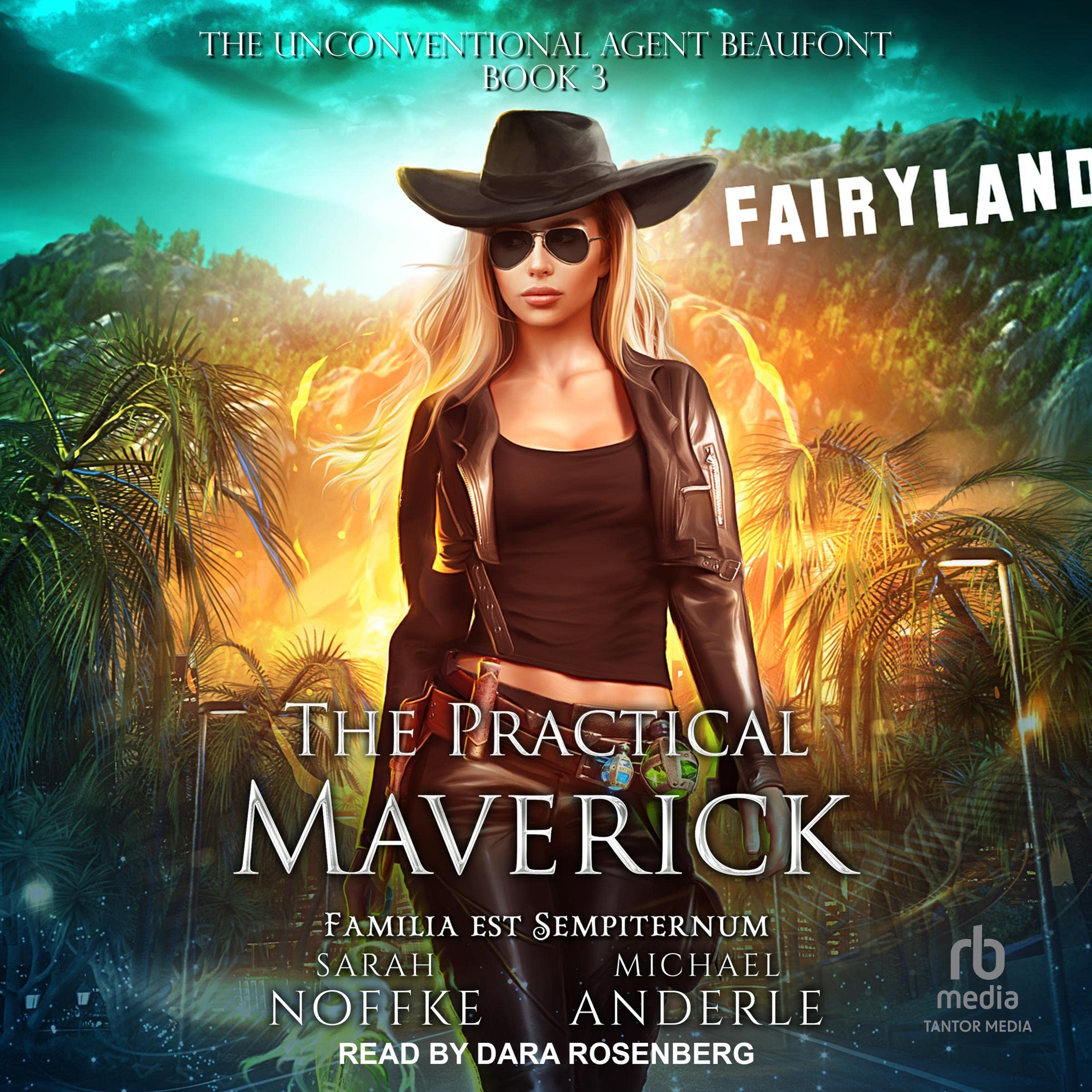 Cover art for The Practical Maverick