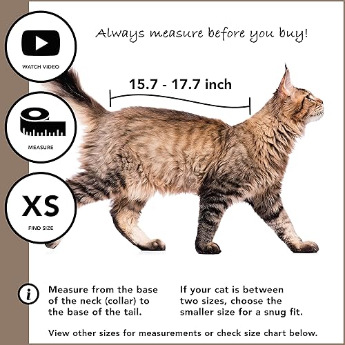 Miniatura 3 de Traje de recuperación de gato de Suitical negro