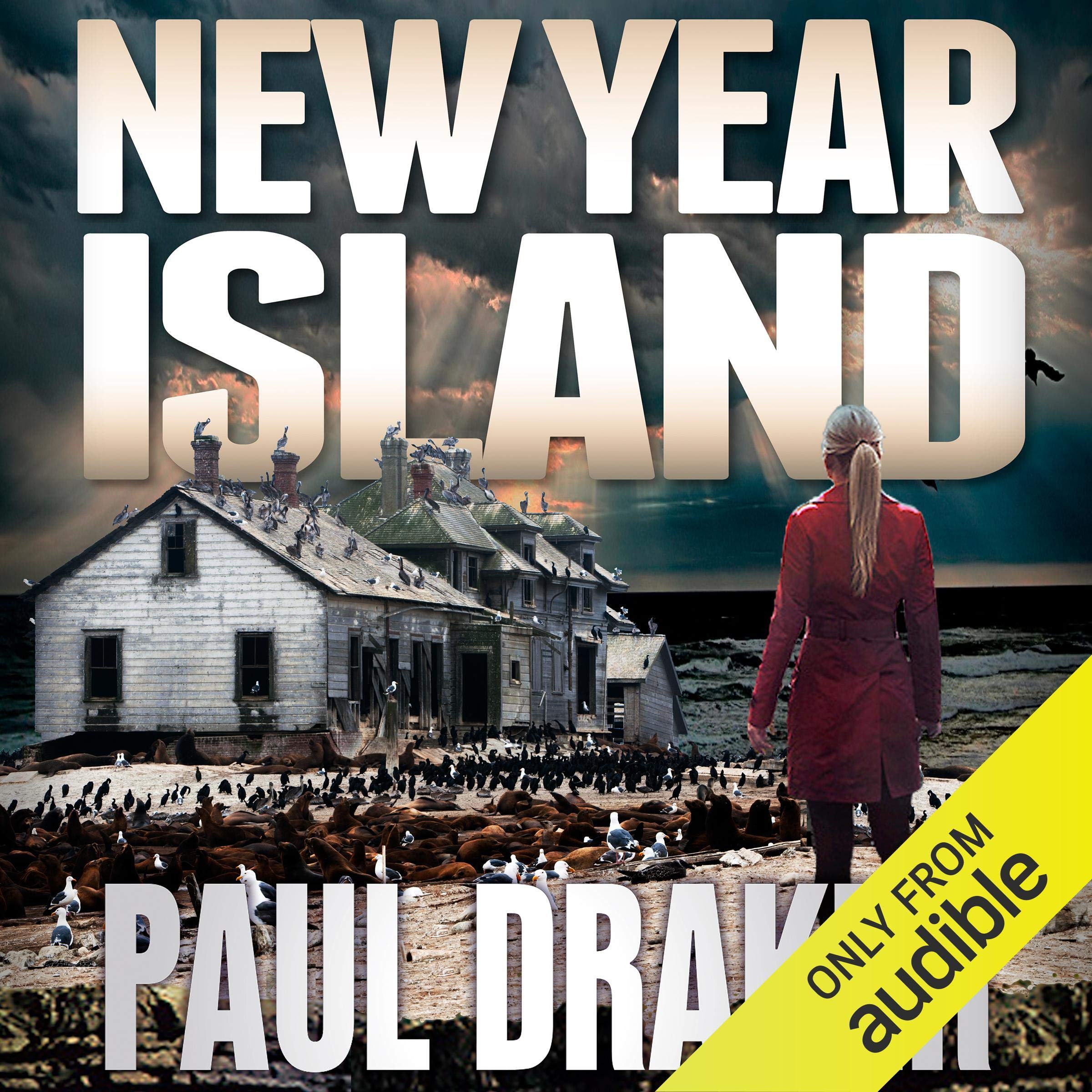 Cover art for New Year Island