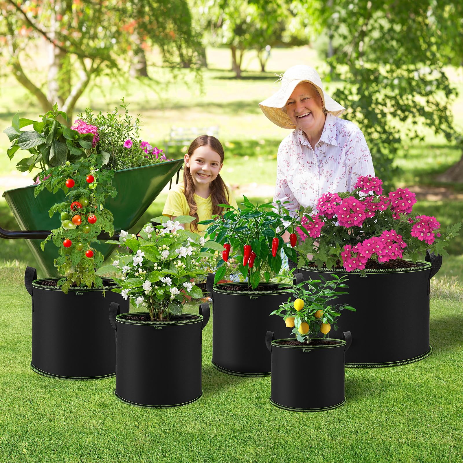 12 Sacchetti Per Coltivazione Grow Bags In Tessuto Non Tessuto | 3 Galloni (circa 11 Litri) | Con Manici Resistenti E Fori Di Drenaggio