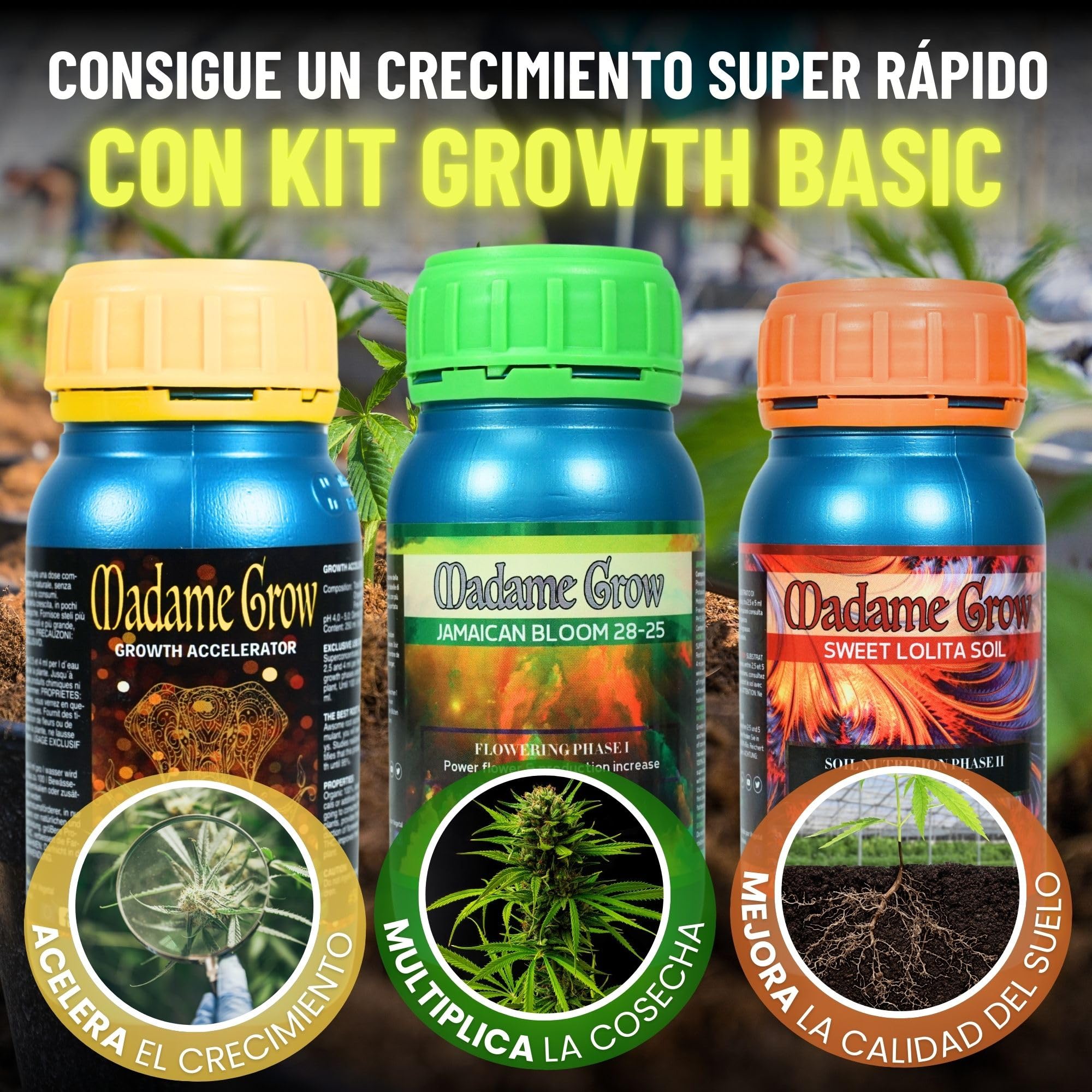 Madame Grow Kit Basic 3x250ml — Pack Fertilizantes Orgánicos Crecimiento y Floración, Abono Líquido Superconcentrado