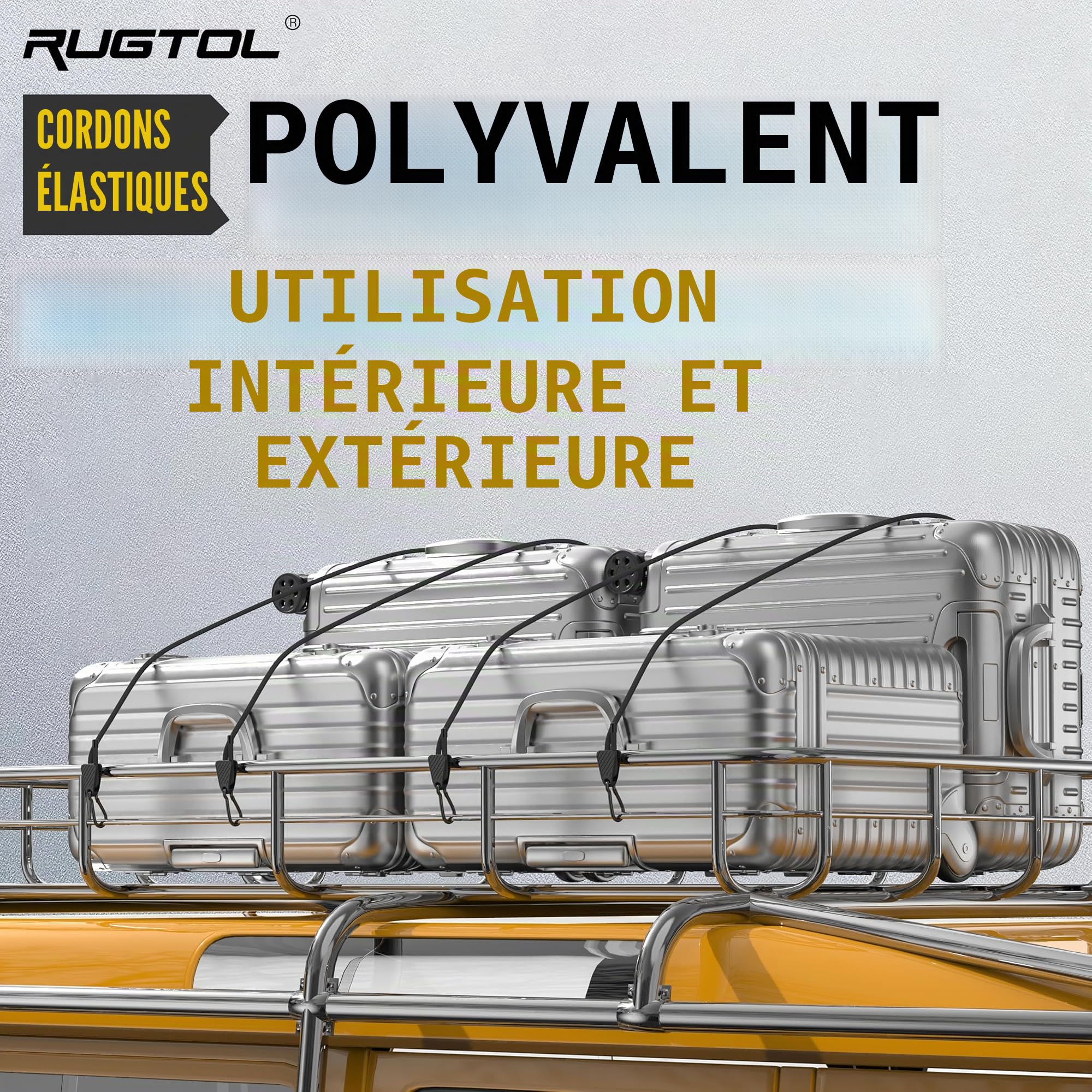 Réglables Tendeurs Élastiques avec Mousqueton, 6 Pcs 100% Latex Tendeur Élastique Robuste 120CM, Résistant aux Rayons UV Sandow Elastique avec Crochets pour Camping, Bâches, Tentes, Bagages, Moto
