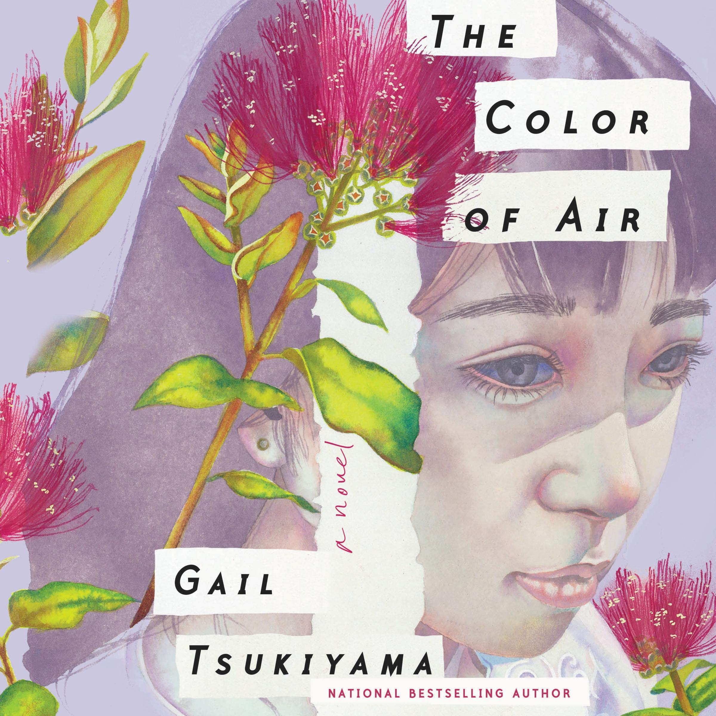 Cover art for The Color of Air