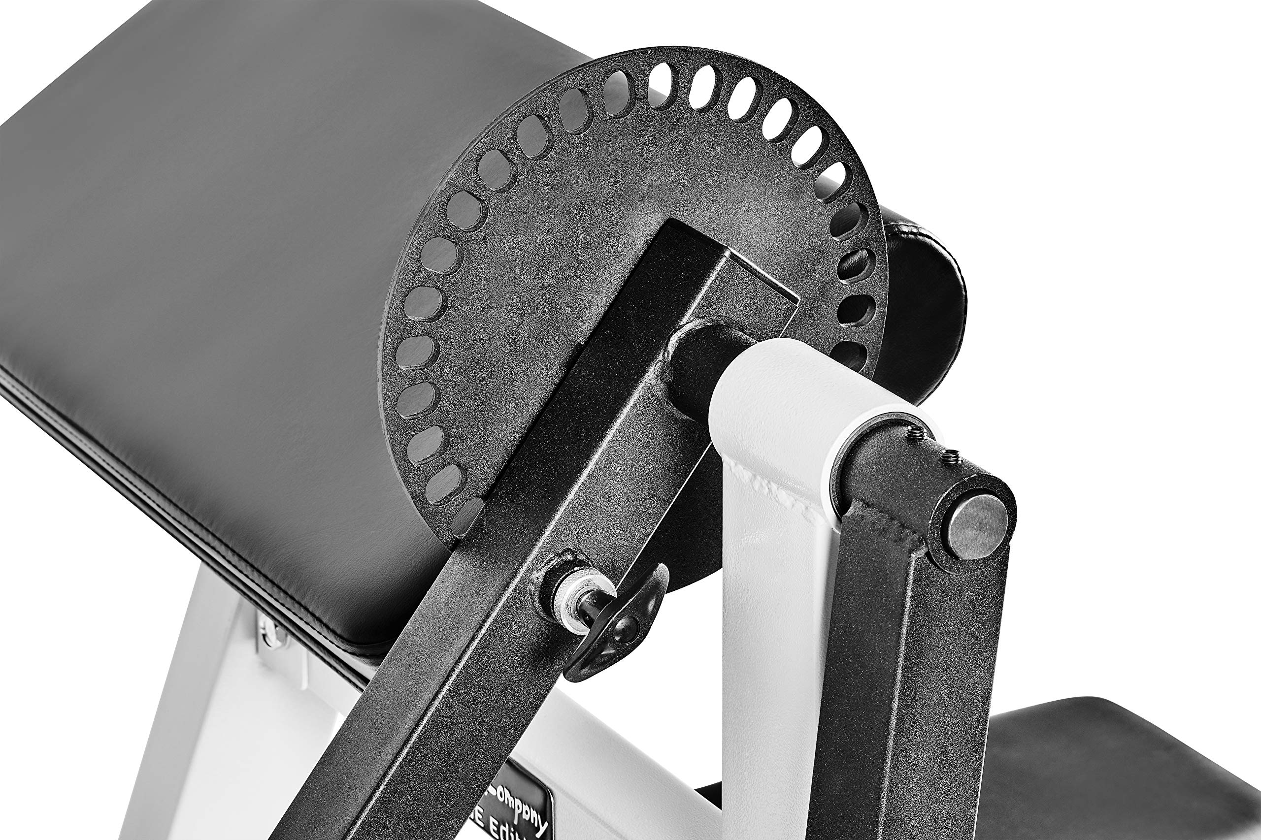 Bad Company Macchinario Curl per braccia I Per allenare bicipiti e tricipiti e con supporto per dischi di peso da 30/31 e 50/51 mm, portata fino a 80 kg I BCA-21