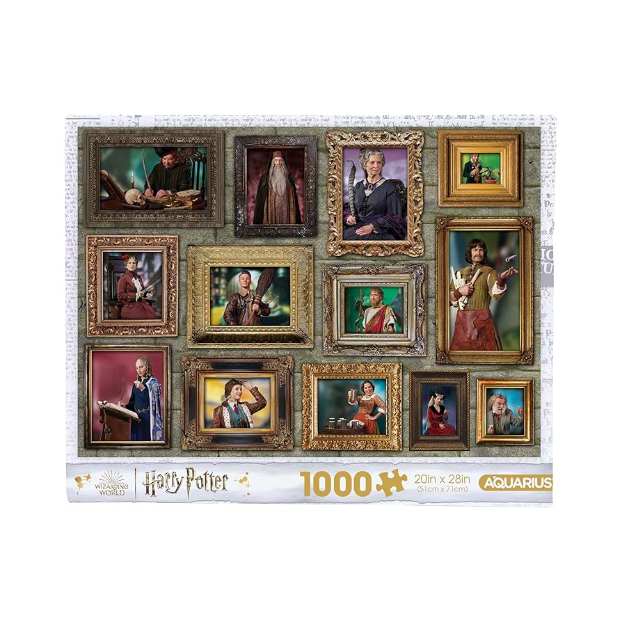 Amazon.com: AQUARIUS Harry Potter Witches & Wizards 1000pc
