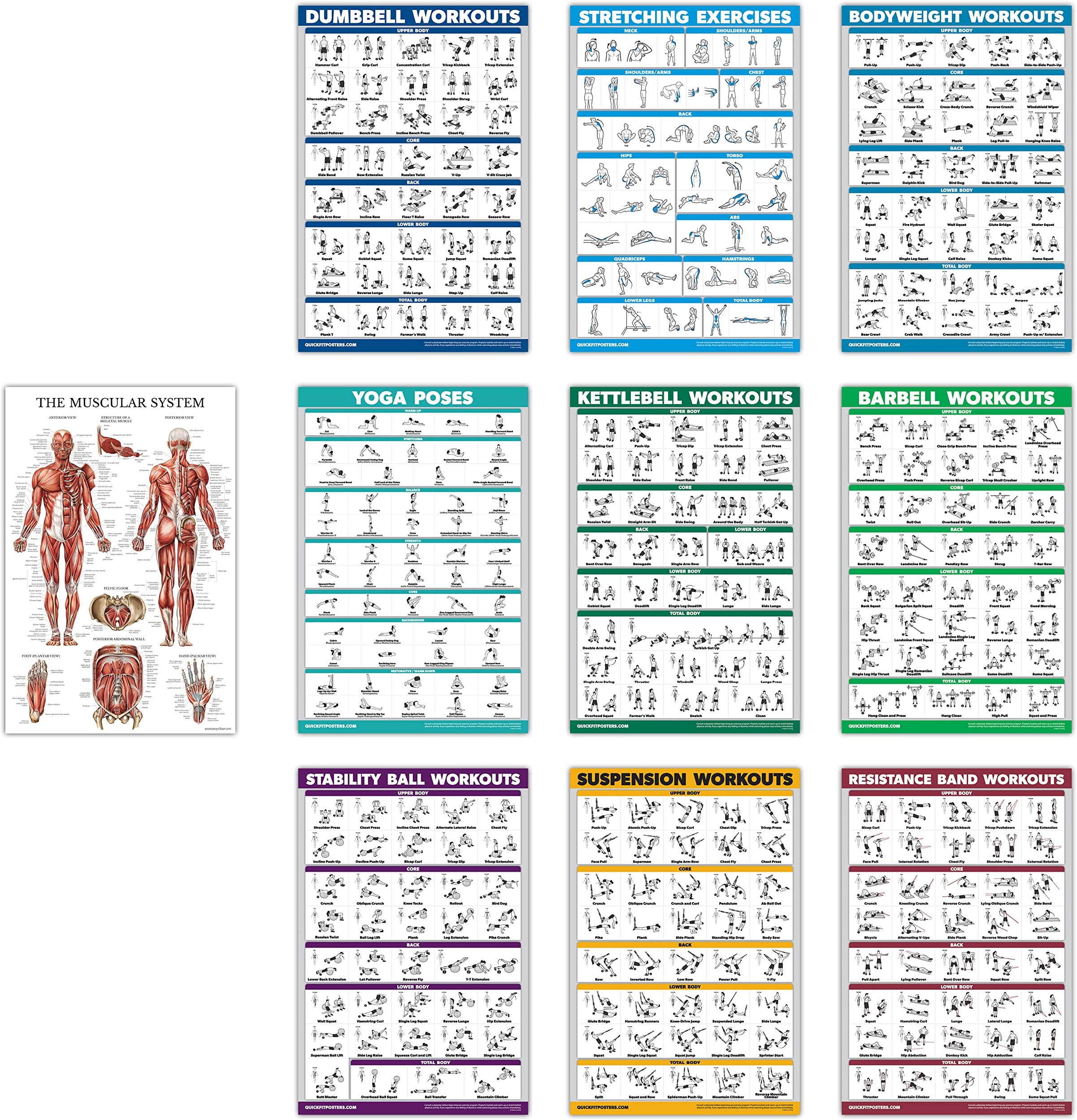 10 Pack - Exercise Workout Poster Set - Dumbbell, Suspension, Kettlebell, Resistance Bands, Stretching, Bodyweight, Barbell, Yoga Poses, Exercise Ball, Muscular System (PAPER, NON LAMINATED,18" x 27")