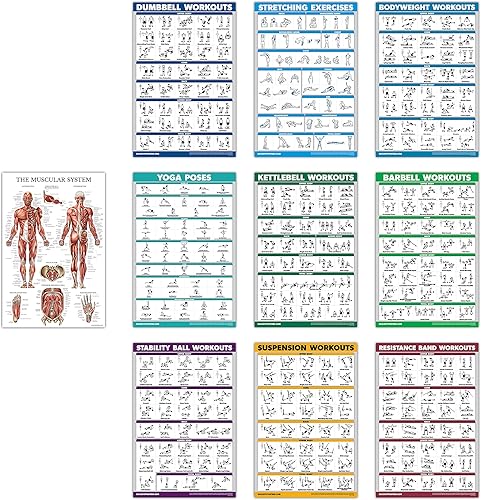 QuickFit - Juego de 10 carteles de ejercicios con mancuernas, suspensión, pesas rusas, bandas de resistencia, estiramientos, peso corporal, posturas