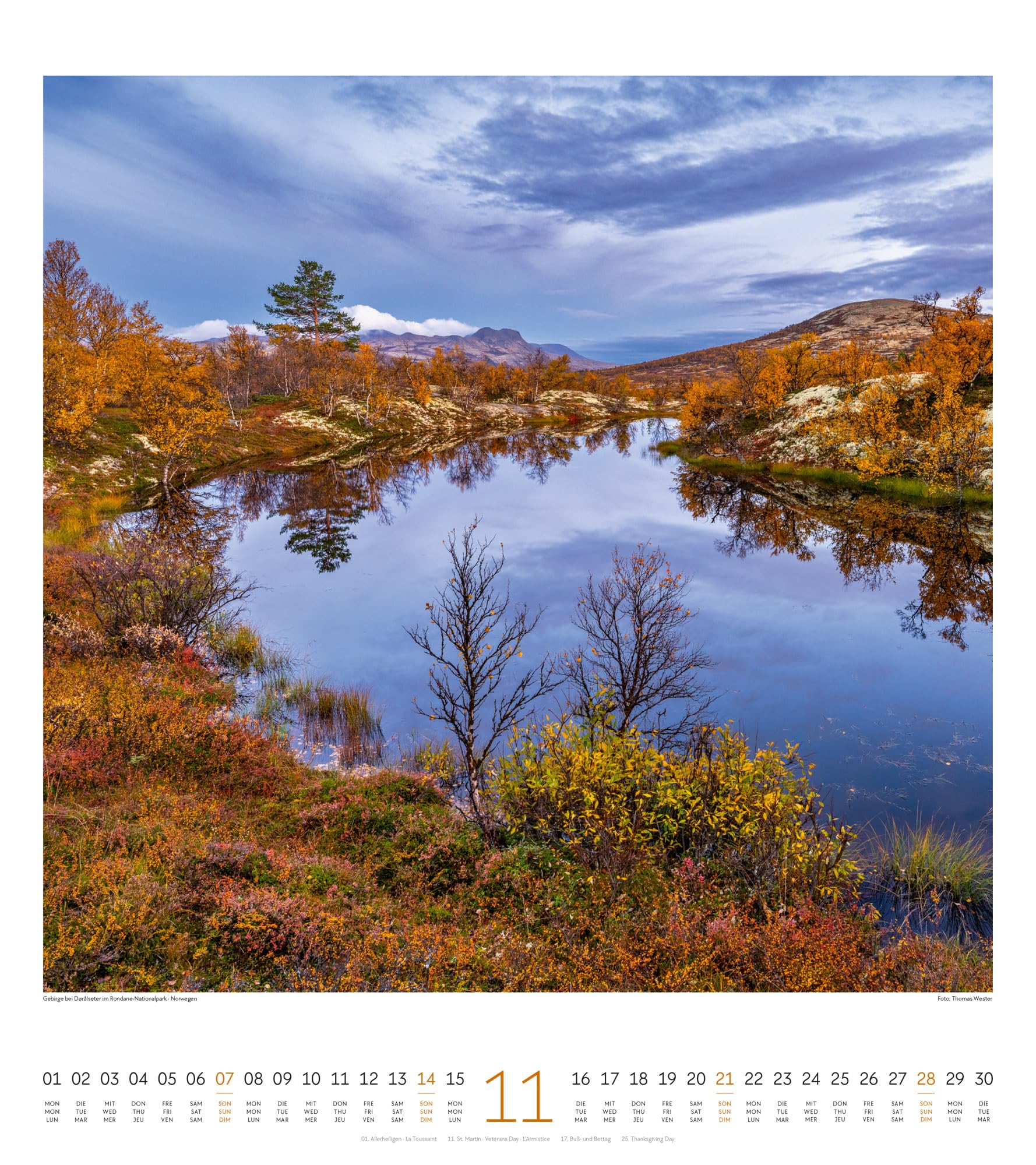 Lichtblicke Kalender 2027 | Stimmungsvoller Natur-Kalender im großen Hochformat (48x54 cm) | Landschaften im Licht der Sonne