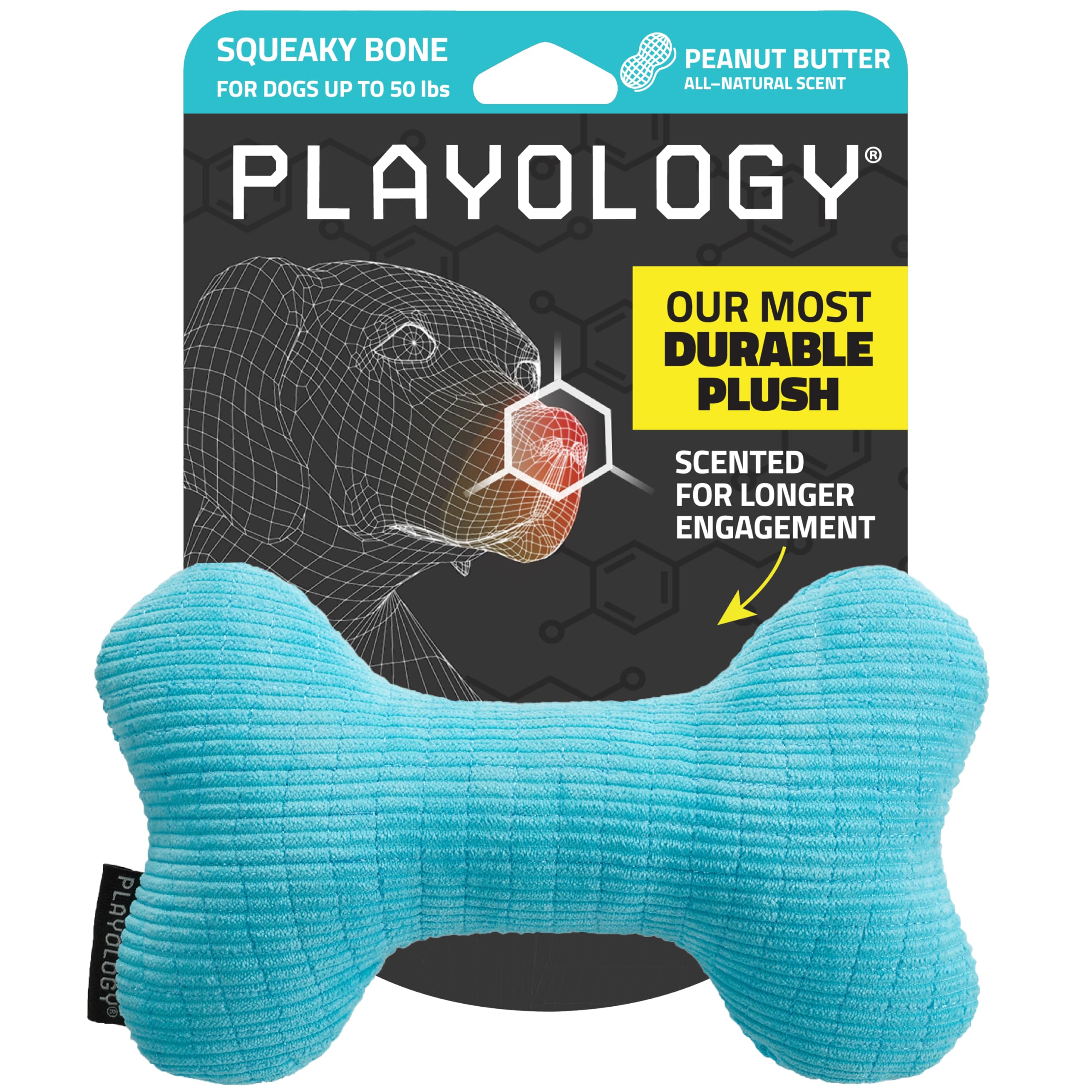 Interactive Squeaky Bone