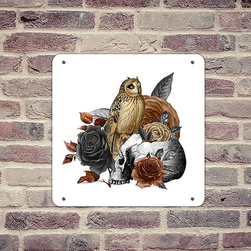 Esqueletos de búho de Halloween, flores, a la moda, elegante, decoración de pared de metal para tiendas, restaurantes, 12 x 12 pulgadas, diseño de
