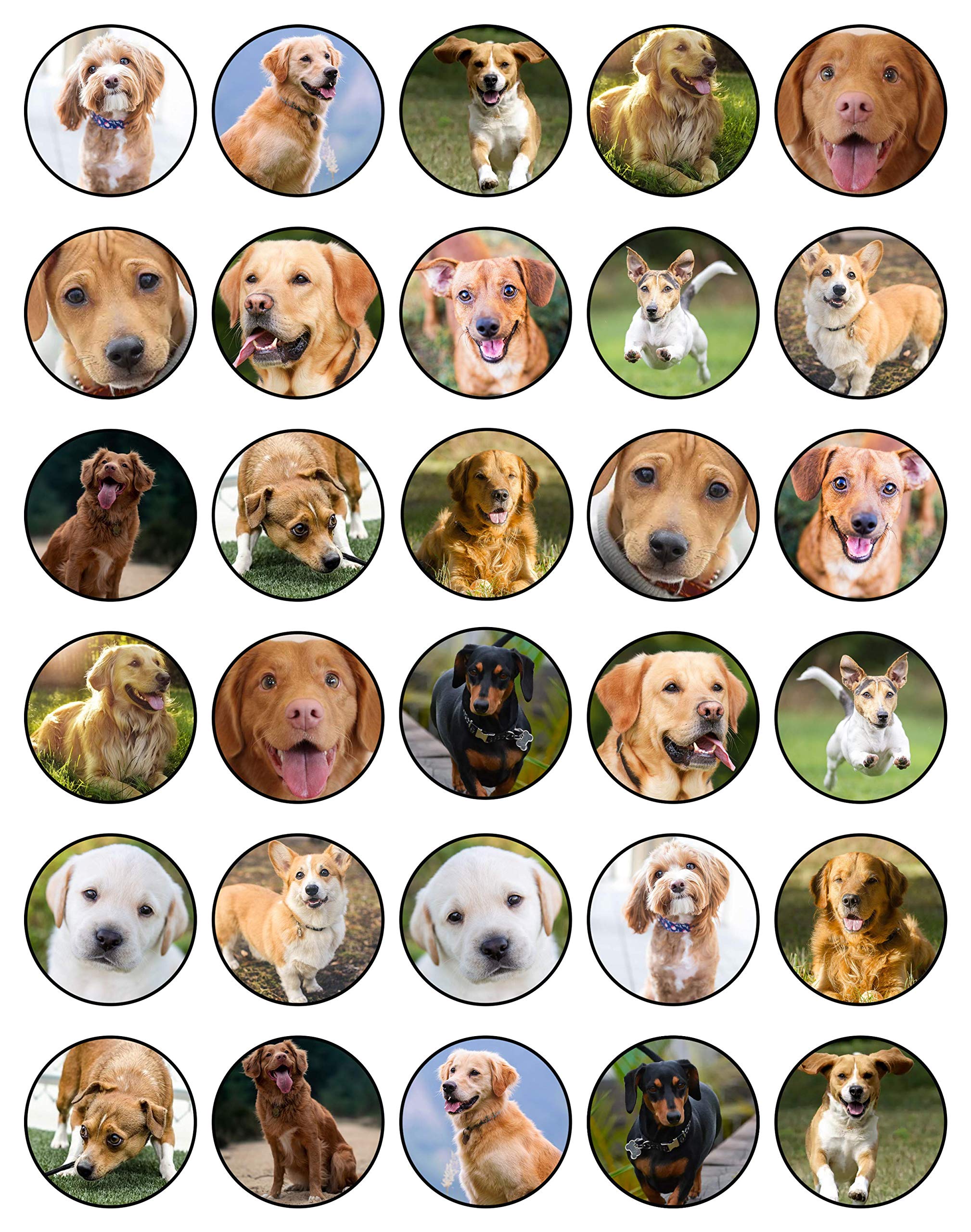 Buy 30 x Edible Cupcake Toppers Themed of Real Dogs Collection of