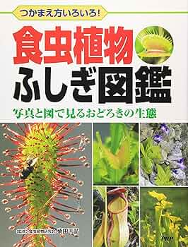 【洋書_図鑑】オーストラリアの食虫植物 洋書_図鑑】オーストラリアの食虫植物 最新 洋書_図鑑