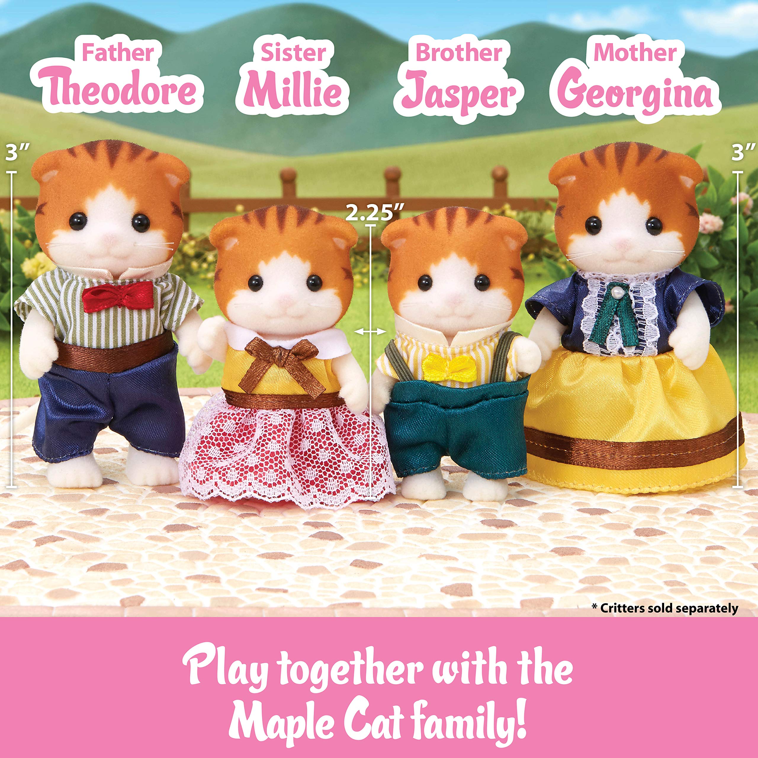 Calico Critters Maple Cat Family Names For Sale OFF 78 55 OFF calico-critters-maple-cat-family-names-for-sale-off-78-55-off