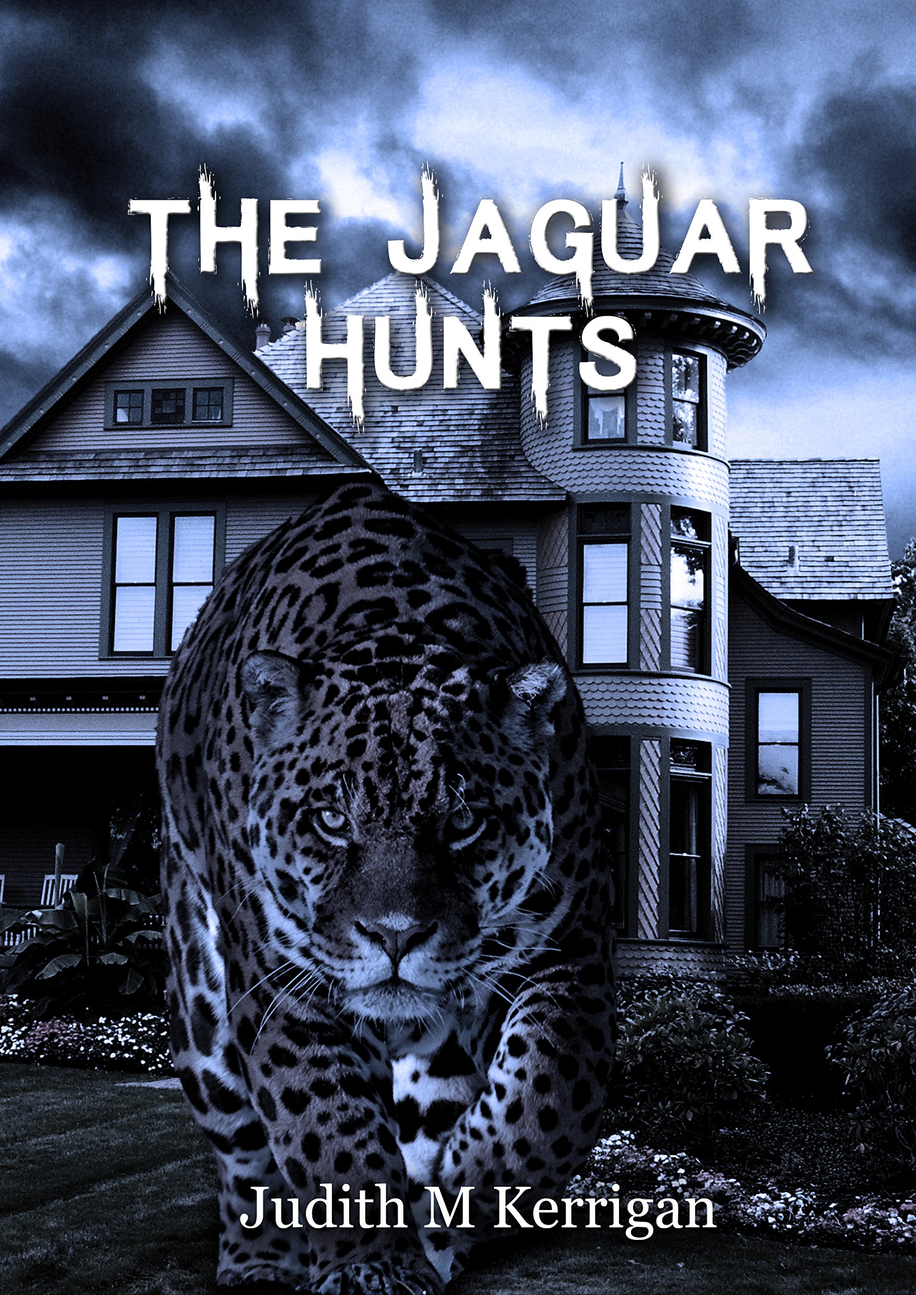 The Jaguar Hunts (The Anna Kinnealy Series Book 3)