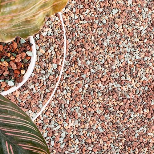 Mezcla de rocas de lava de 18 libras para plantas en puerta, guijarros de grava para bonsái suculentos y rellenos de jarrones, jardinería de hadas,