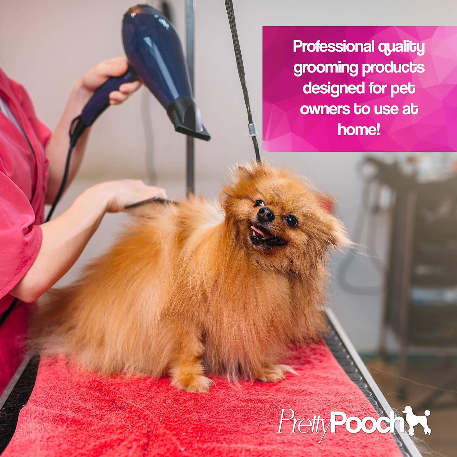 Pretty Pooch Gentle Touch Dog Shampoo & Conditioner (Baby Powder Fragrance) - A Non-itchy, Professional Deep Cleaning Shampoo for Dogs with Sensitive Skin! (5 Litre Baby Powder) 5 91V28O2WnoL. AC SL1500