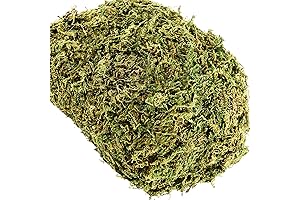 Artificial Moss for Large Outdoor Planters