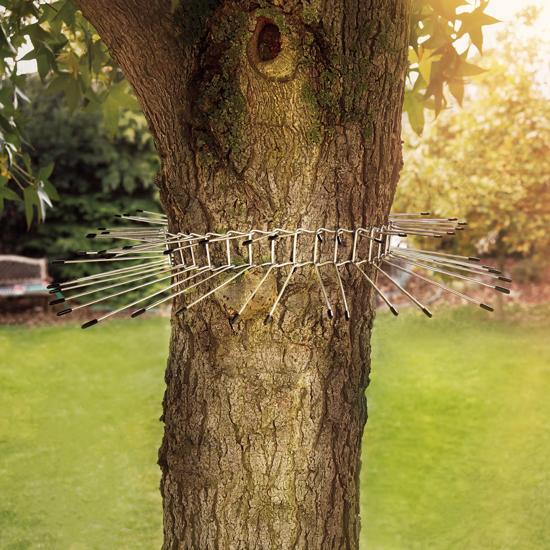 GARDIGO® Cat Deterrent Tree Belt, silver - Image 3