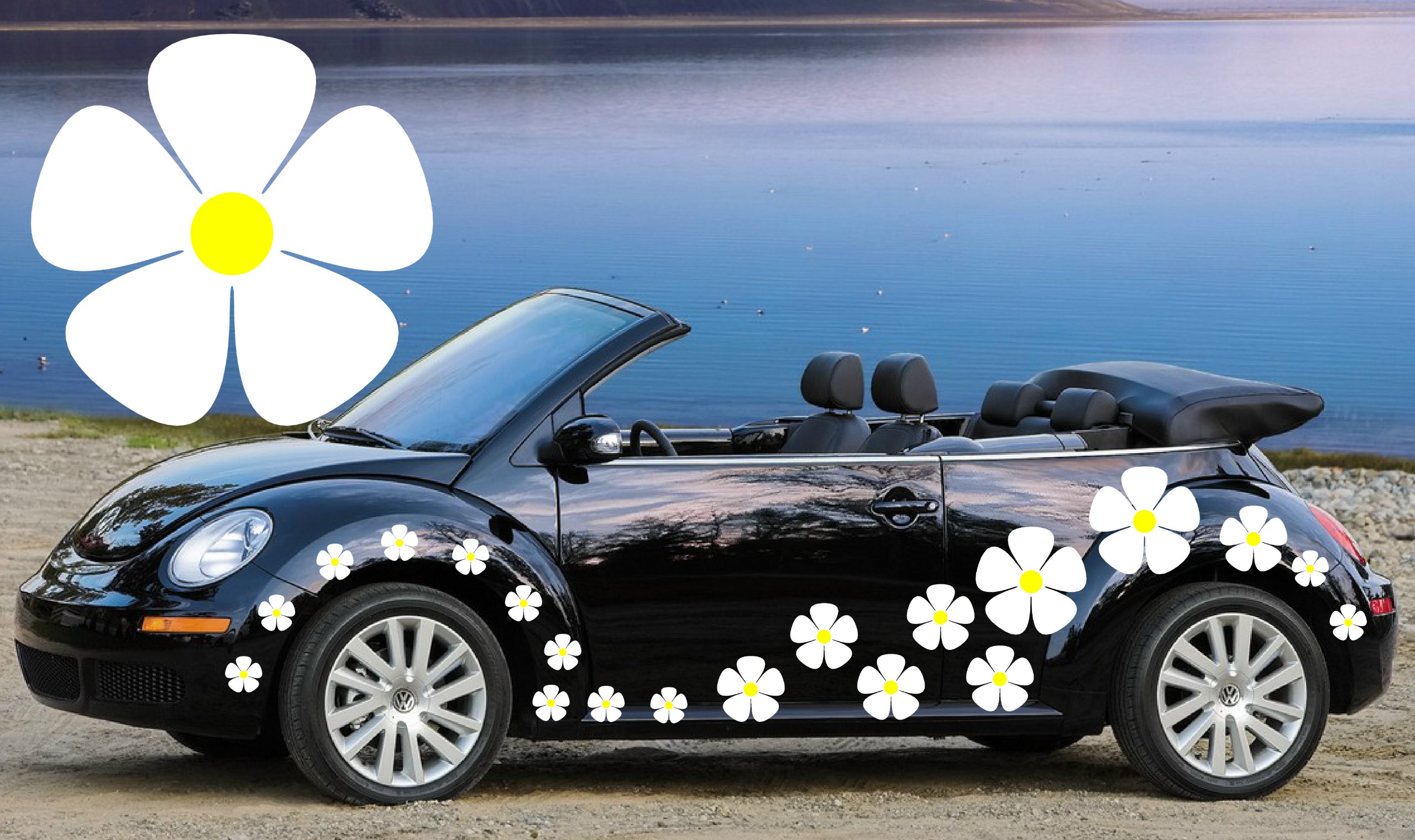 White 32 Pansy Flower Car Decals,Stickers,Car Graphics,Daisy Stickers