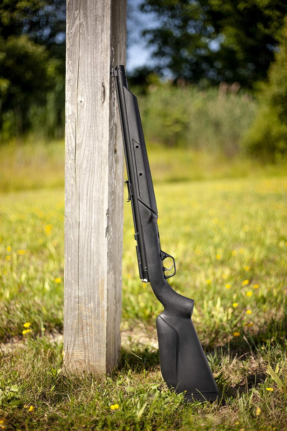 Benjamin 392S .22-Caliber Bolt Action Variable Pump Air Rifle, Black : Sports & Outdoors