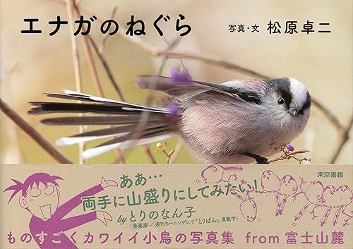 エナガのねぐら