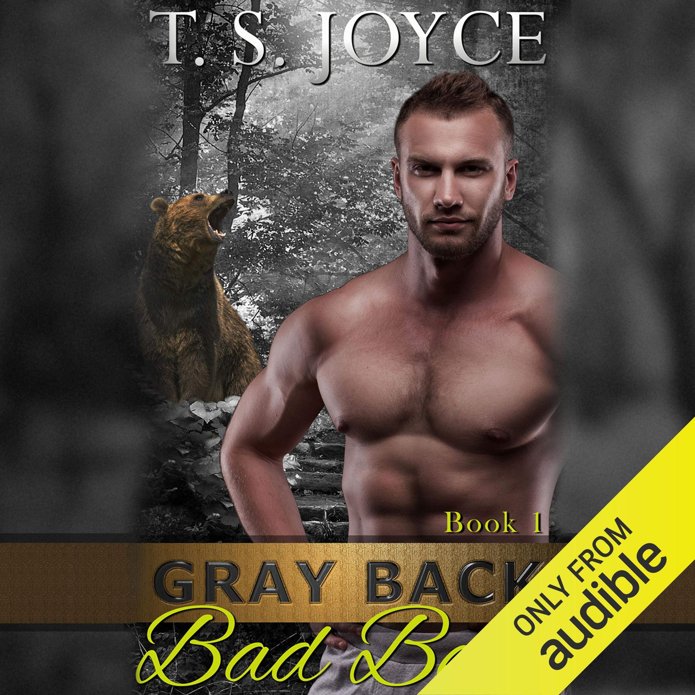 Cover art for Gray Back Bad Bear