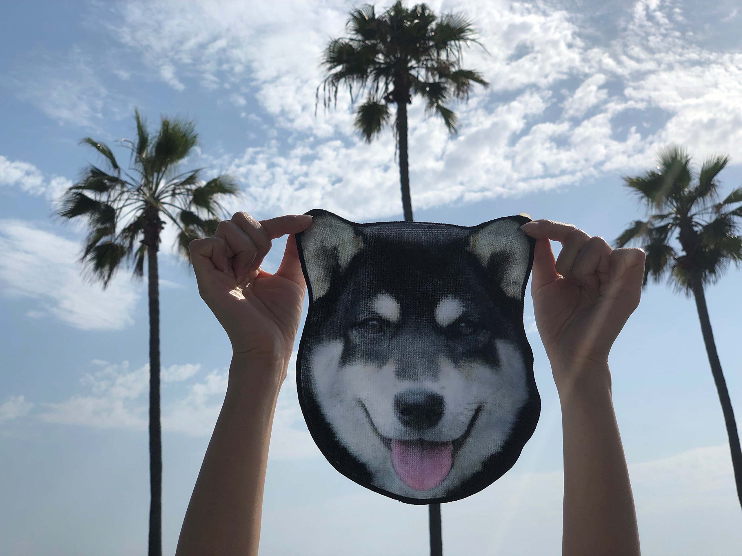 Amazon｜リアルモチーフタオル柴犬タオル動物面ハンドタオル| Imabari